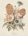 Image Not Available